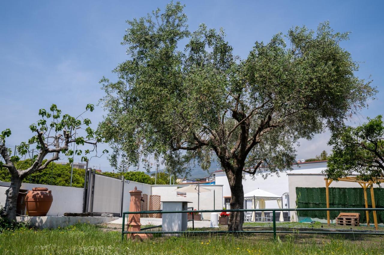 Boscotrecase Napul'E B&B מראה חיצוני תמונה